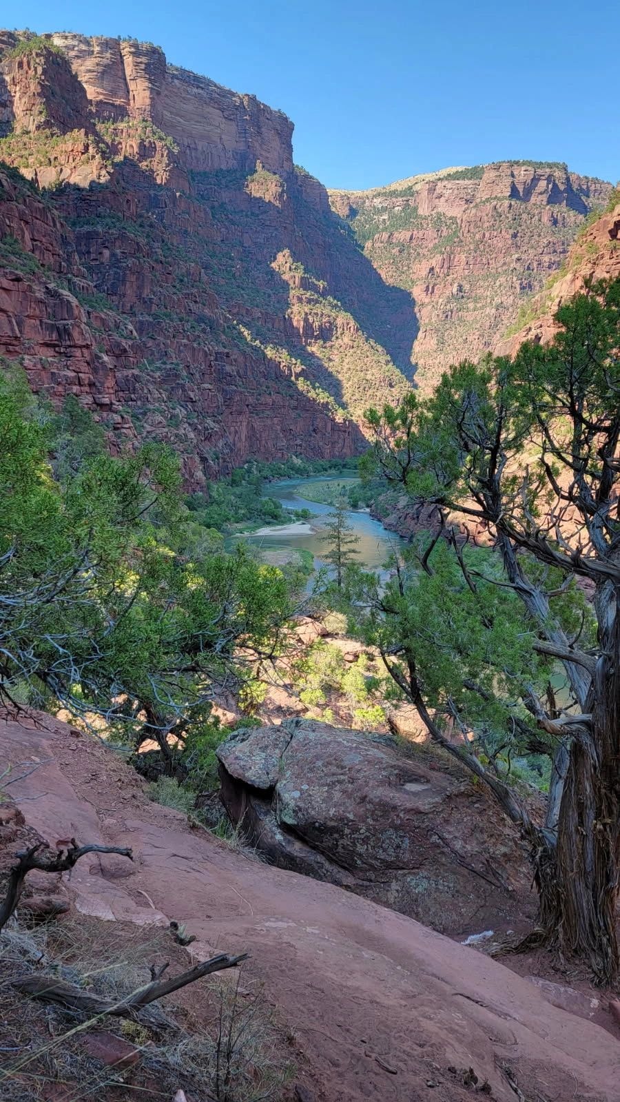 Nature and wellness