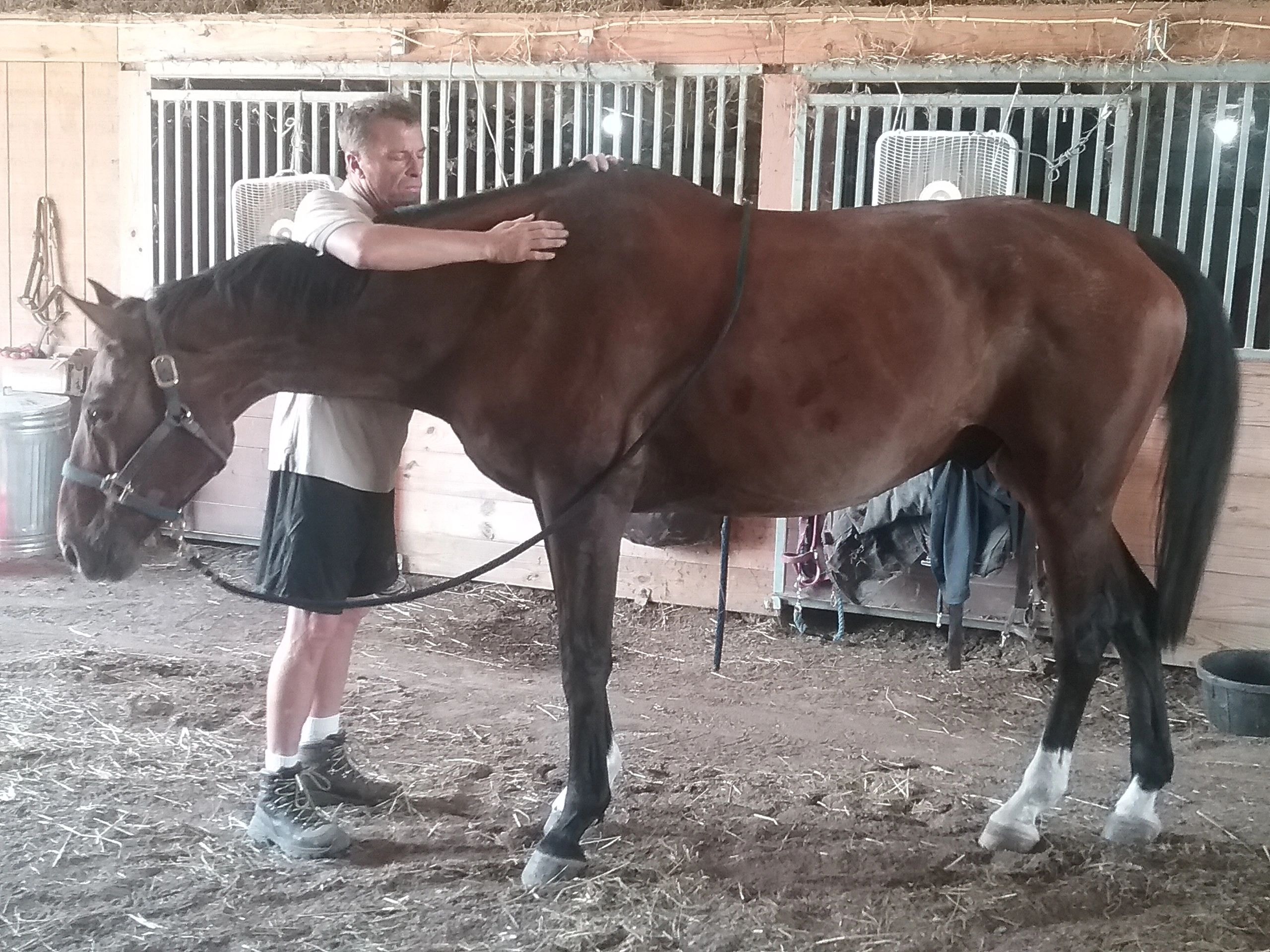Bodywork session